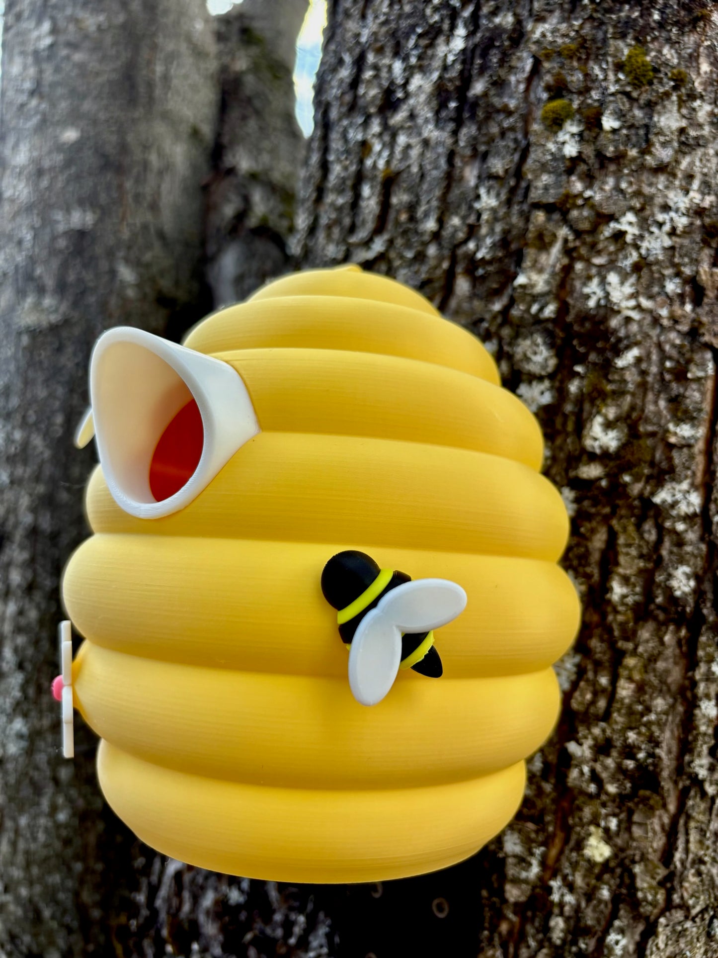 Ruche pour oiseaux – Un refuge cosy qui attire l’attention