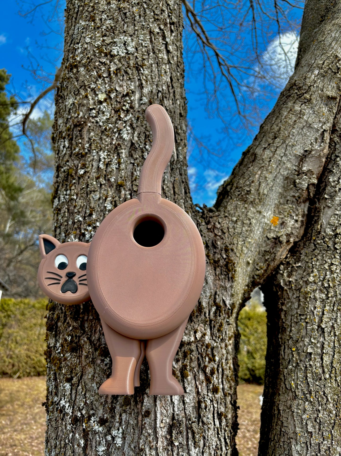 Funny Cat Birdhouse – For Birds with a Sense of Humor