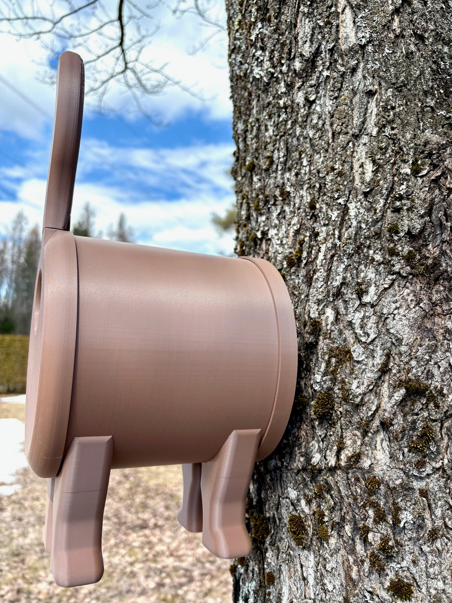Funny Cat Birdhouse – For Birds with a Sense of Humor