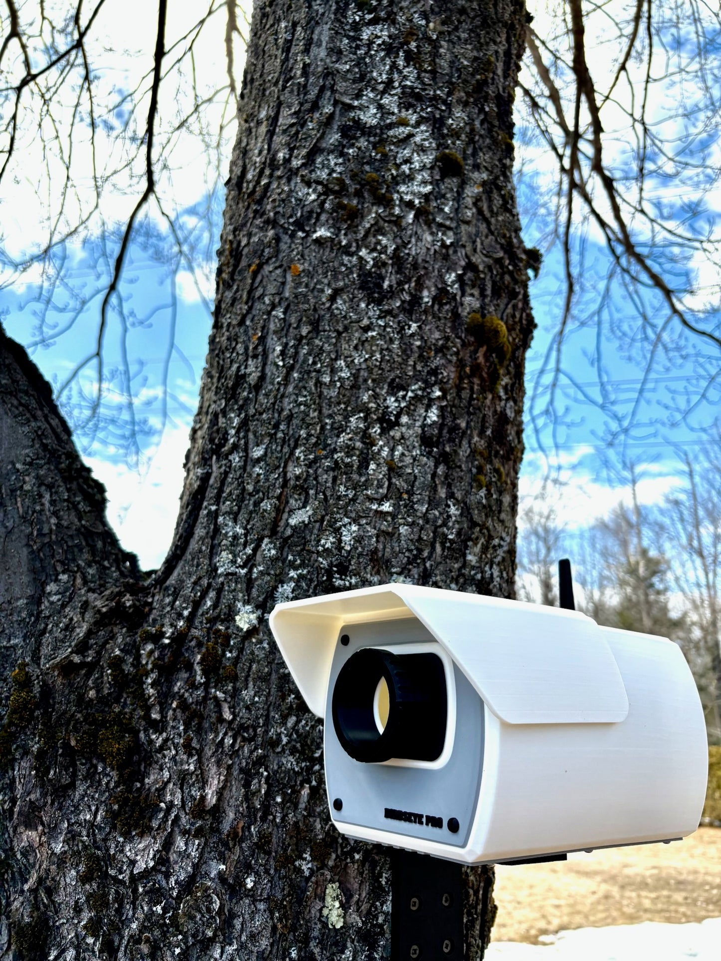 Birdseye Pro Birdhouse β For Birds Who Like to Be Watched (Kind Of π)