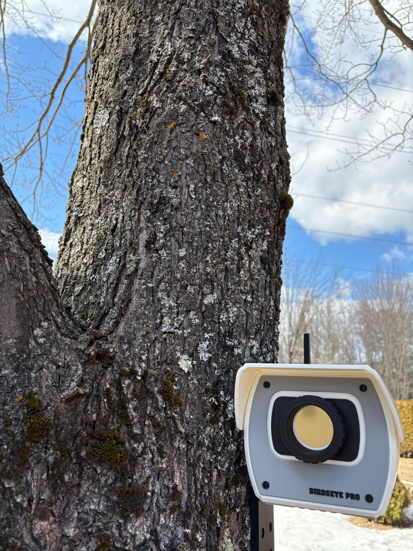 Birdseye Pro Birdhouse β For Birds Who Like to Be Watched (Kind Of π)
