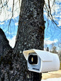 Birdseye Pro Birdhouse – For Birds Who Like to Be Watched (Kind Of 😄)