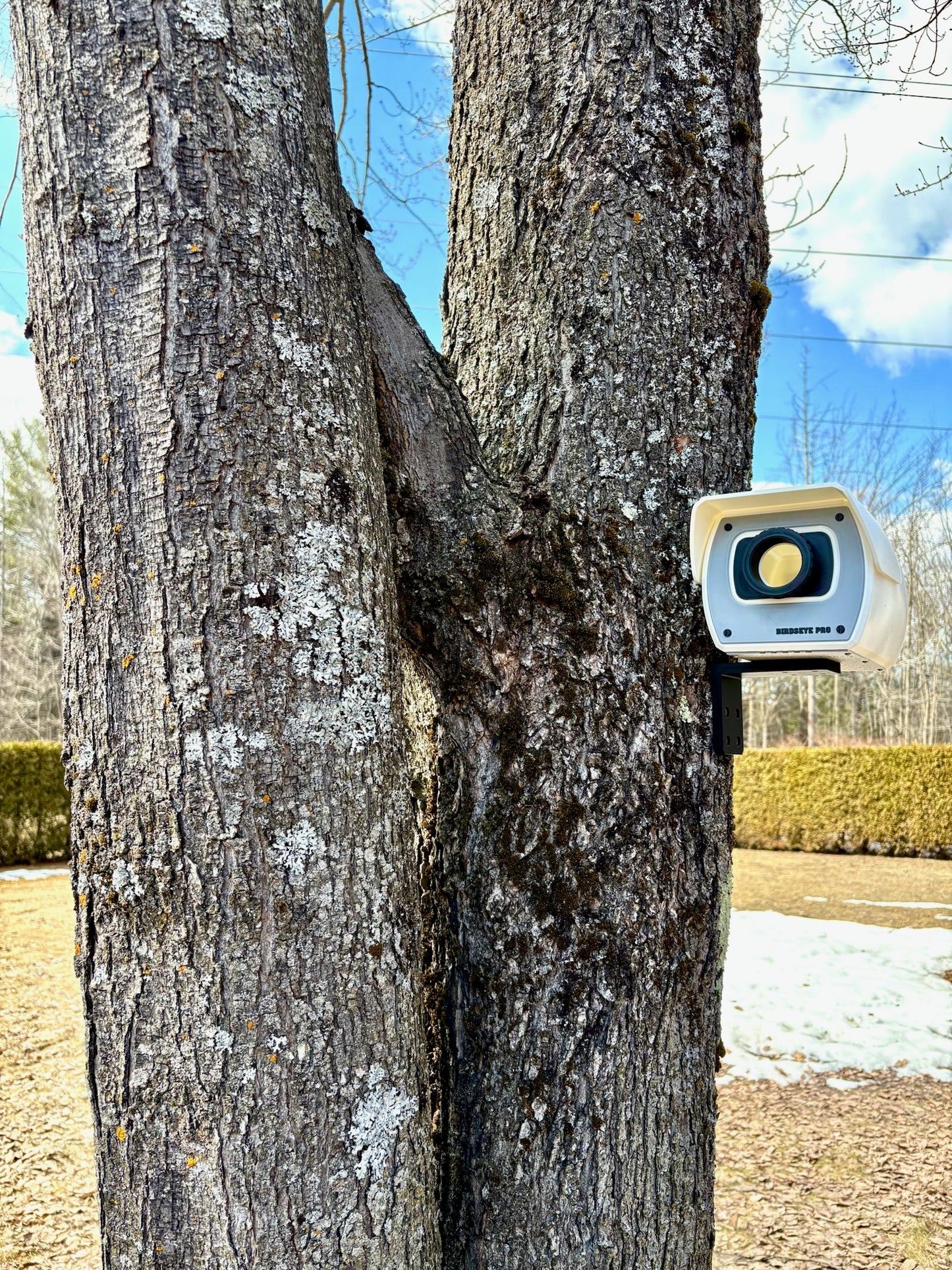Birdseye Pro Birdhouse – For Birds Who Like to Be Watched (Kind Of 😄)