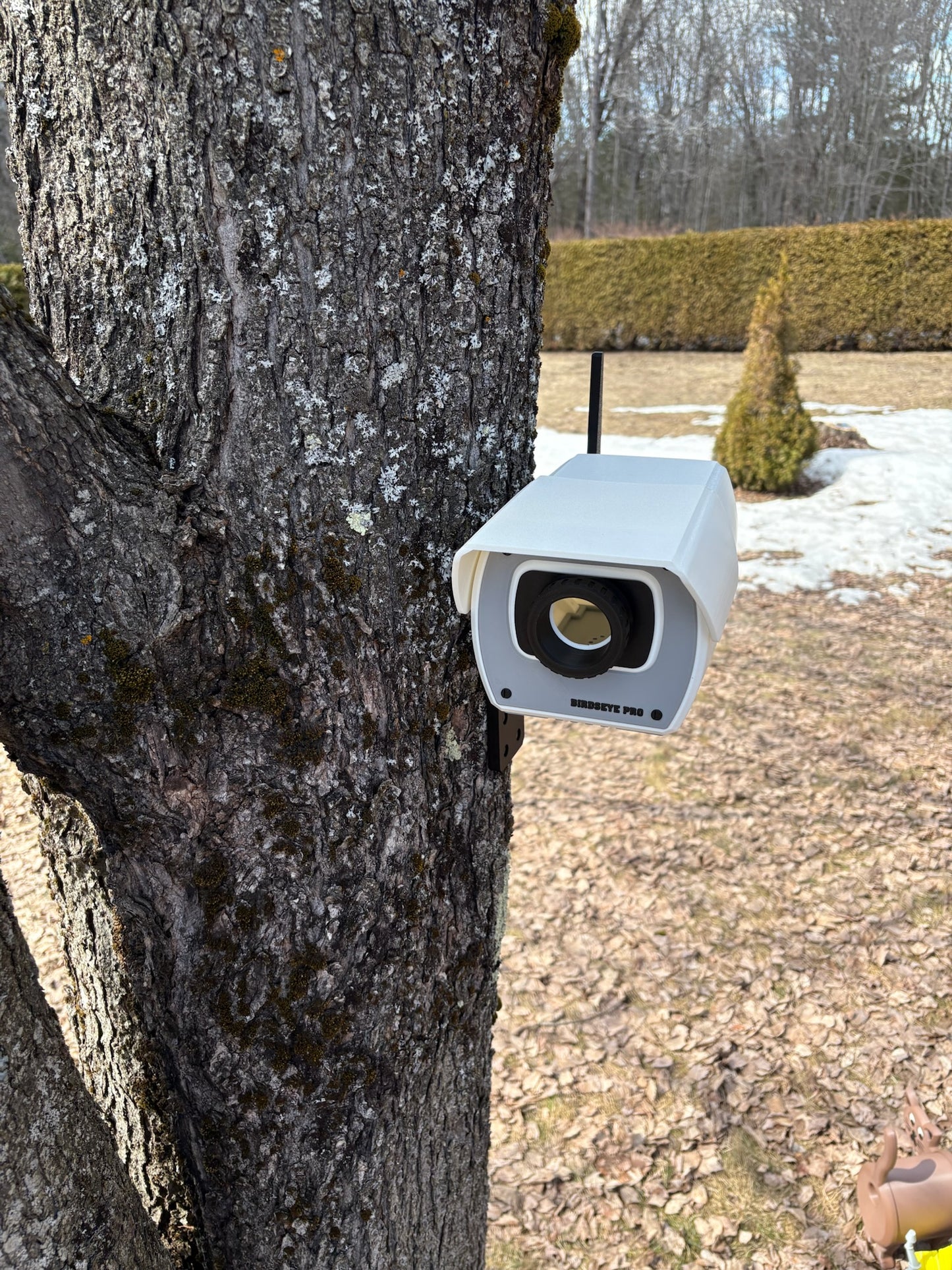 Birdseye Pro Birdhouse – For Birds Who Like to Be Watched (Kind Of 😄)