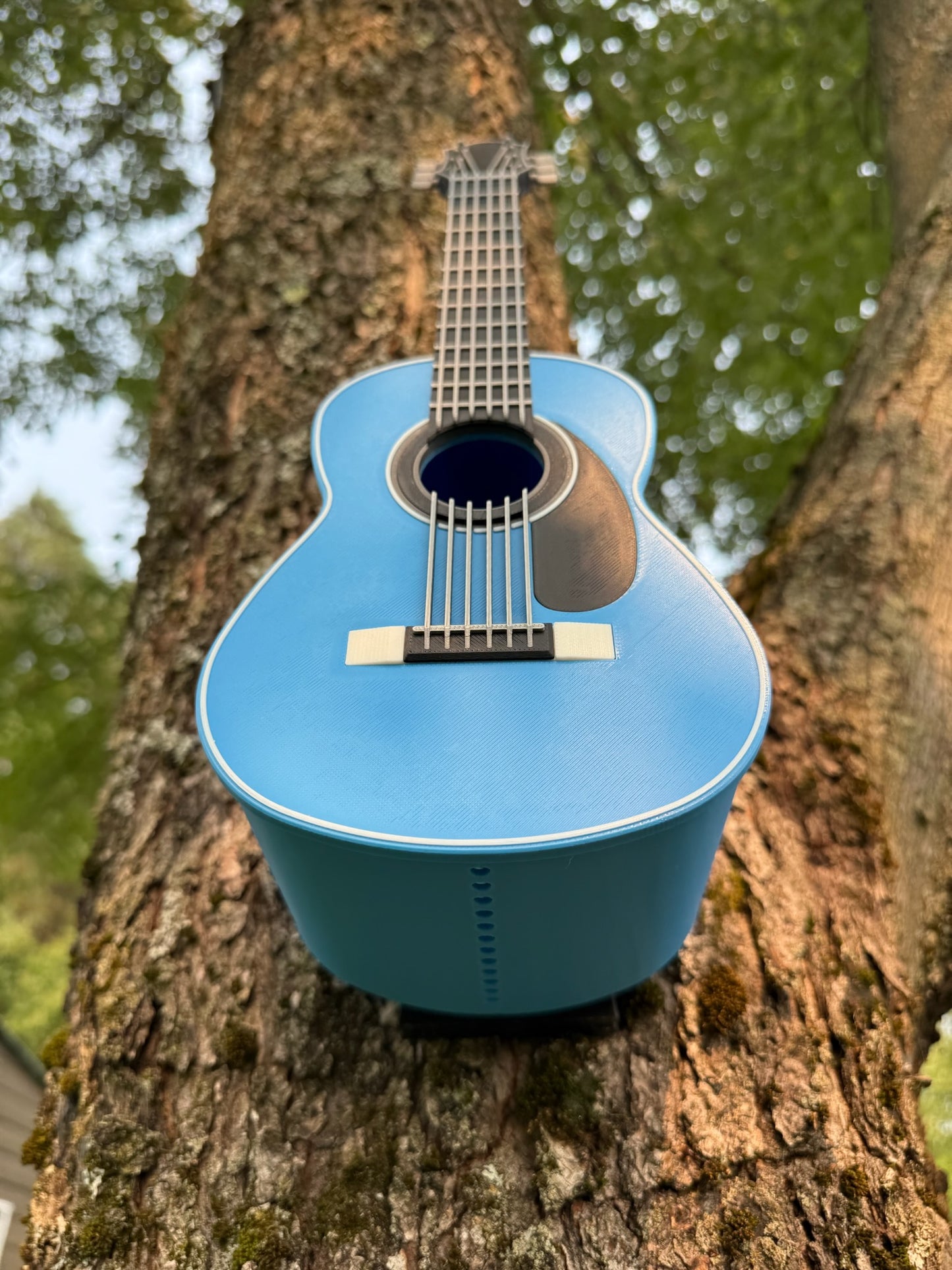 Guitar Birdhouse – A Melody for Your Backyard